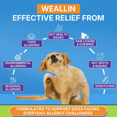 WEALLIN Dog Allergy Relief Chews bag emphasizing probiotic blend and immune support information.