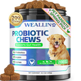 WEALLIN probiotics for dogs bottle – easy daily digestive support for your companion