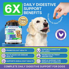 WEALLIN probiotics for dogs jar – 200 chews for ongoing gut health