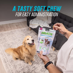Welactin soft chews close-up indicating daily use.