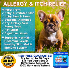 Well Loved dog allergy chews label close-up emphasizes vet-developed, USA-made quality.