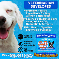 Well Loved dog allergy chews soft chews shown, easy to administer and tasty for dogs.