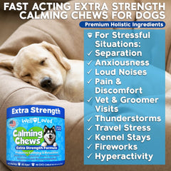 Well Loved Bacon Flavor Calming Chews dog treat pack, tasty and soothing.