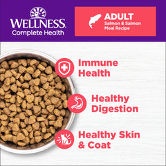Wellness Complete Health cat kibble texture close-up supports cravings and digestion