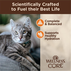 Wellness CORE Tiny Tasters Minced – ingrédients de haute qualité sans céréales pour chats actifs.