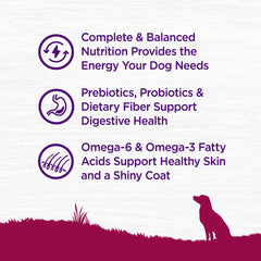 Wellness small-breed dry dog food with chicken meal and turkey provides protein variety