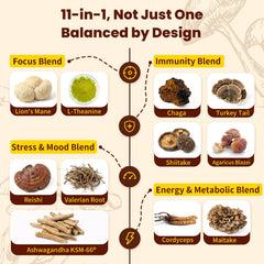 WepBio Mushroom Coffee Mocha packet for a rich chocolate flavor and steady focus