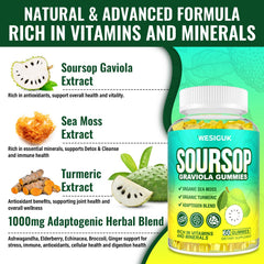Illustration of turmeric, ashwagandha, and elderberry in Wesiguk formula