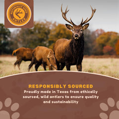 WhiteTail Naturals deer antlers for large dogs—6-7 inch durable chews