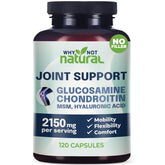Why Not Natural glucosamine chondroitin MSM bottle top view for joint support.
