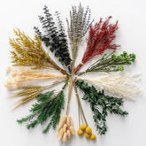 Wild Autumn lavender stem dried flower for calming home decor