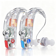 WINTER PLUM hearing aid showing noise reduction technology for clearer conversations