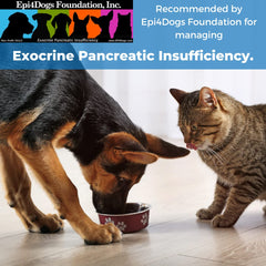Wonder Laboratories Pet Factor B-12 bottle beside a dog image suggesting pet wellness benefits.