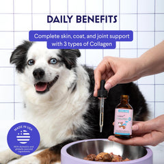 Wonder Paws dog nails image highlighting stronger nails