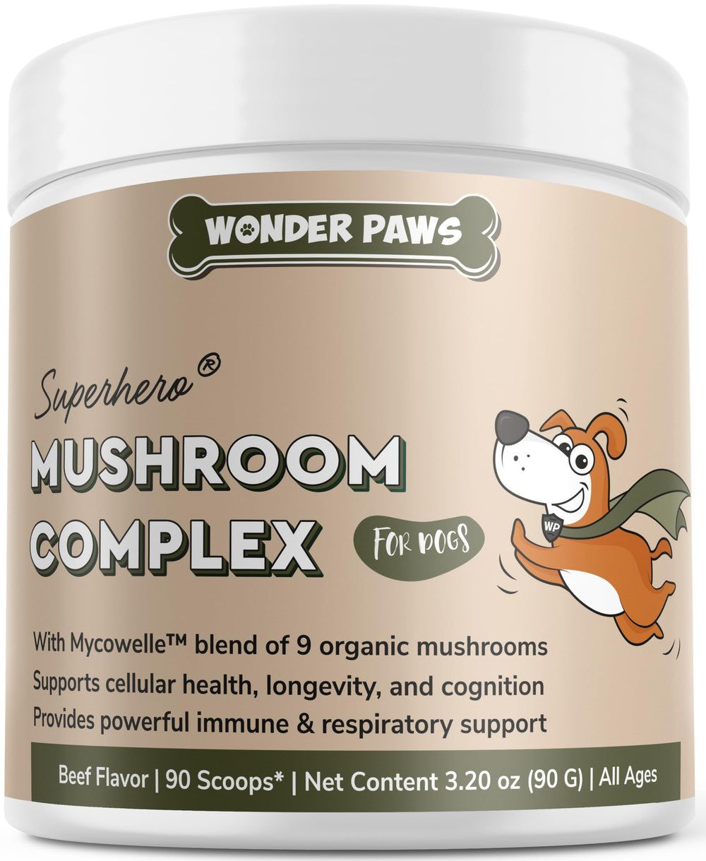 Wonder Paws Immune Mushroom Powder sprinkled into a dog bowl for daily immune support.