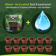 Wonder Soil mycorrhizae-aided root growth promotes healthier plants.