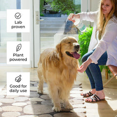 Wondercide 3-in-1 home pest control reduces pests on carpets and furniture.