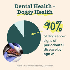 Woof Doggy Dental Pupsicle Powder Drops in Water highlights quick mix for tasty oral care session.