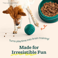 WOOF nomchucks-compatible puzzle treats fit for challenges