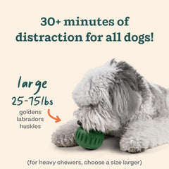WOOF Pupsicle dog-enjoying shows a pup engaged during long-lasting flavorful play.