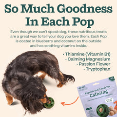 WOOF Pupsicle ready-to-go pops eliminate mess before hikes.