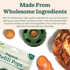 WOOF Pupsicle Refills ingredients label highlights wholesome components.