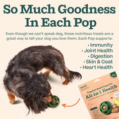 USA-made treats with trusted ingredients for safe, long-lasting fun