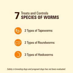 WORM X PLUS shows pyrantel pamoate and praziquantel for multi-worm coverage.