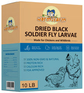 WormsFarm 10lb dried BSF larvae for chickens boost nutrition and variety