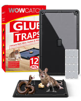 Wowcatch heavy-duty glue board trap for indoor use in humid spaces.
