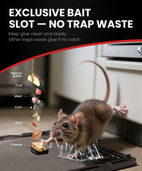 Wowcatch prebaited trap setup ready for quick wall placement.