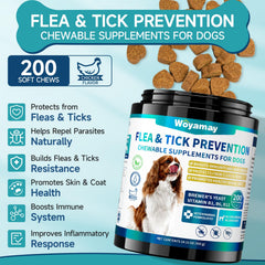 Woyamay soft chews shown as a dog friendly serving for easy daily use