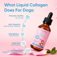 Wvnscl Healthy Petz collagen stirred into kibble for seamless supplementation