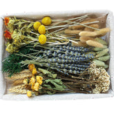 Xin's Convey bunny tails white dried flowers for elegant centerpieces.