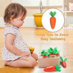 XPIY Montessori Carrots Harvest toy, carrots-slot-matching view, promotes spatial awareness through sorting.