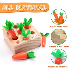 XPIY Montessori Carrots Harvest toy, wooden surface close, durable and baby-friendly for everyday play.