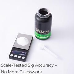 Xylarnoveth 5g level-scoop ensuring consistent creatine dosing every use.