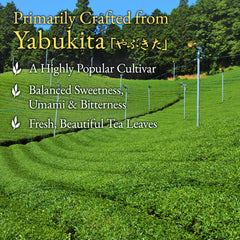 YAMASAN KYOTO UJI brewed tea—bright yellow-green color and refreshing aroma