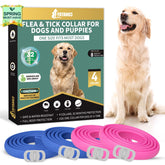 YOTANGO dog flea collar blue and pink 4-pack pack shot showing broad protection