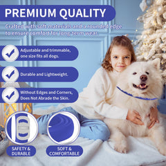 YOTANGO flea collar color options in use on dogs