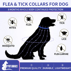 YOTANGO flea collar close-up with sturdy metal clasp for secure wear