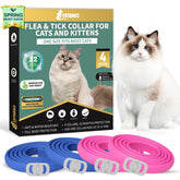 YOTANGO cat flea collar in blue and pink pack, offers practical protection for fleas.