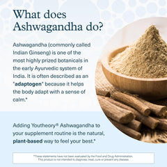 Youtheory Ashwagandha capsules close-up emphasizes vegetarian capsules for daily use.
