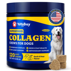 YoYoBay Collagen for Dogs bottle front promoting daily joint and skin support.