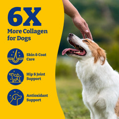 YoYoBay collagen for dogs chews close-up showing duck and pear flavor.