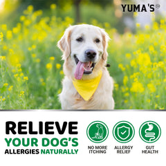 YUMA'S Beef Liver Flavor chews ready to serve for dogs.