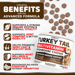 YUMA'S Turkey Tail for Dogs chews closeup highlighting joint and coat health