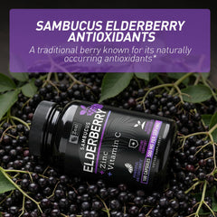 Zeal Naturals elderberry fruits and leaves showcase natural sourcing.