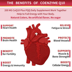 ZEBORA CoQ10 softgels with omega-3 supporting heart and brain.