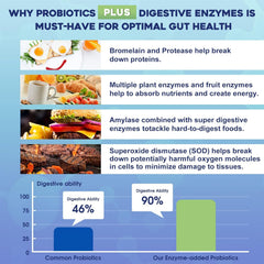 ZEBORA Probiotics acid-resistant technology capsules illustrating targeted gut delivery
